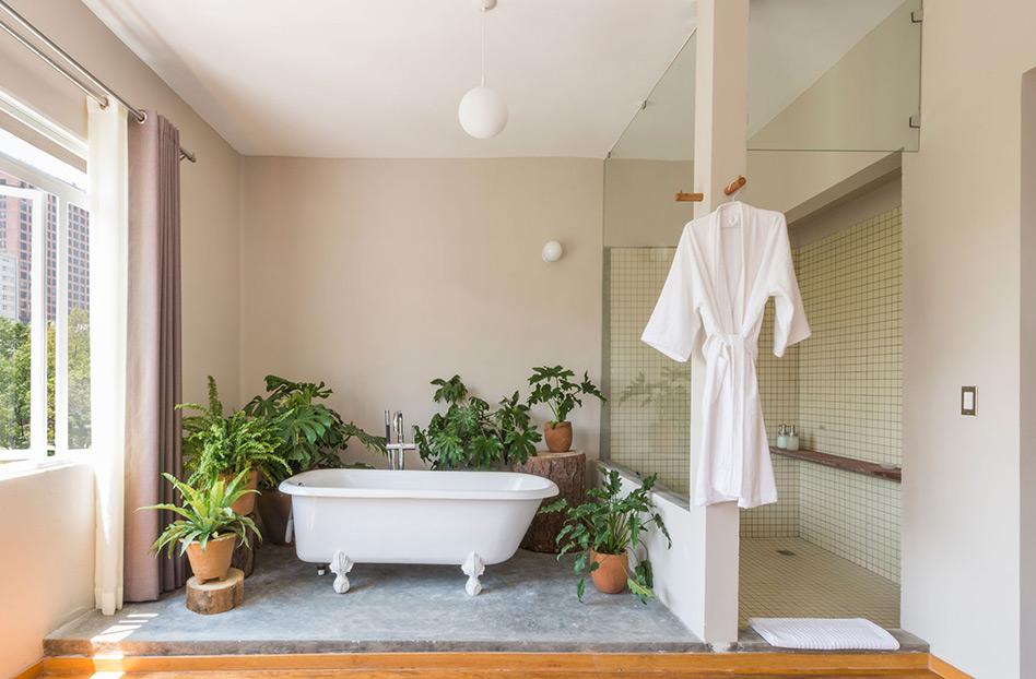 hoteles boutique en el DF