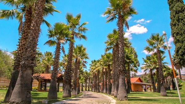 cursos vacacionales