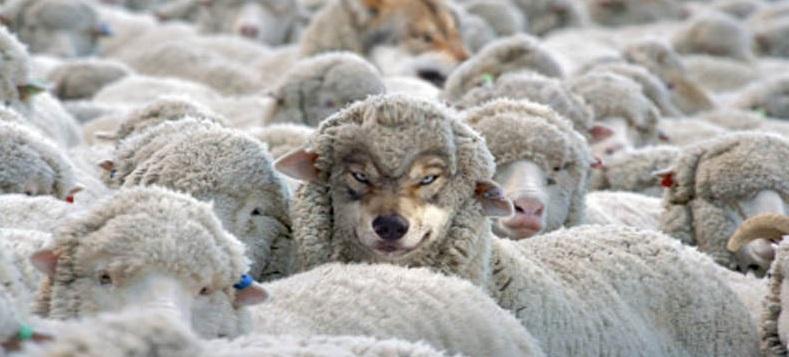 web de coaching no clientes