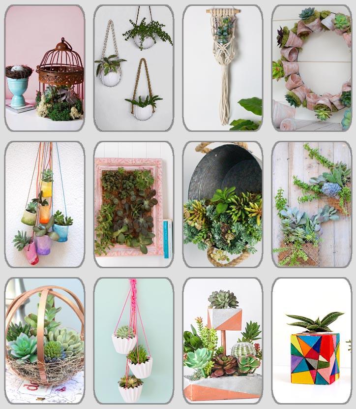 grupo de 12 centros DIY con plantas crasas