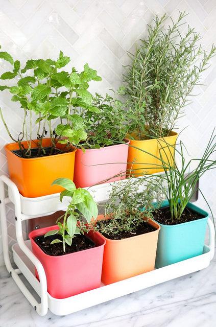 02-Make-a-Colorful-Indoor-Herb-Garden