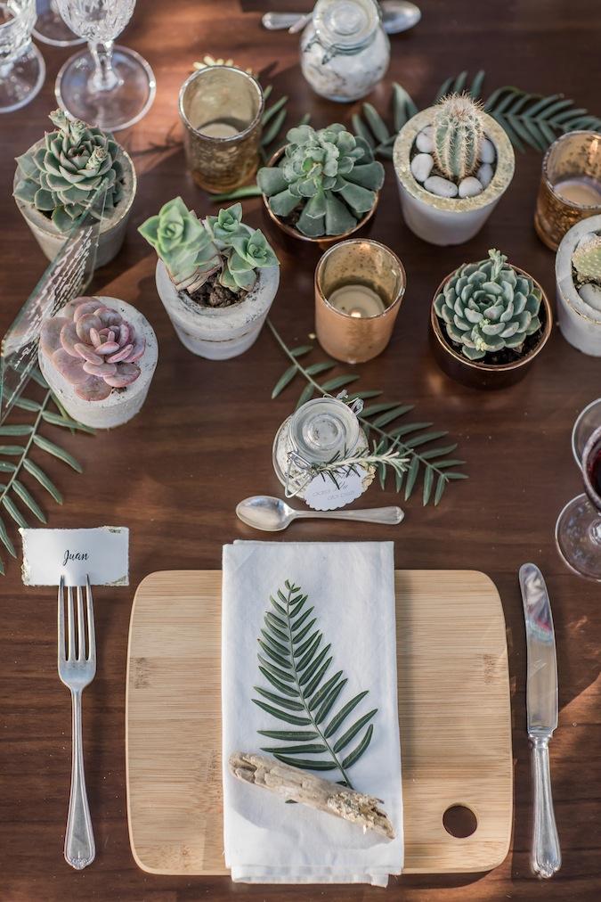 Mediterranean Dreams