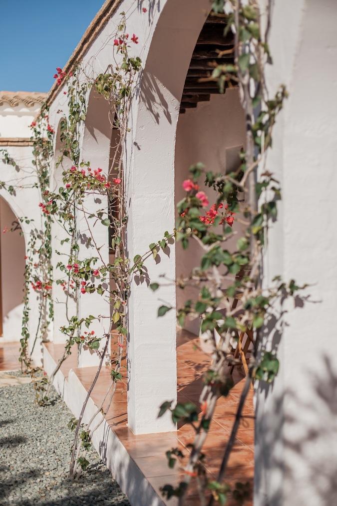 Mediterranenan dreams