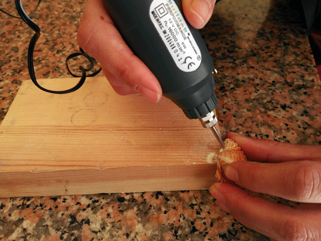 como_hacer_joyas_diy_con_conchas