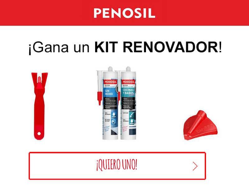 kit renovador de silicona
