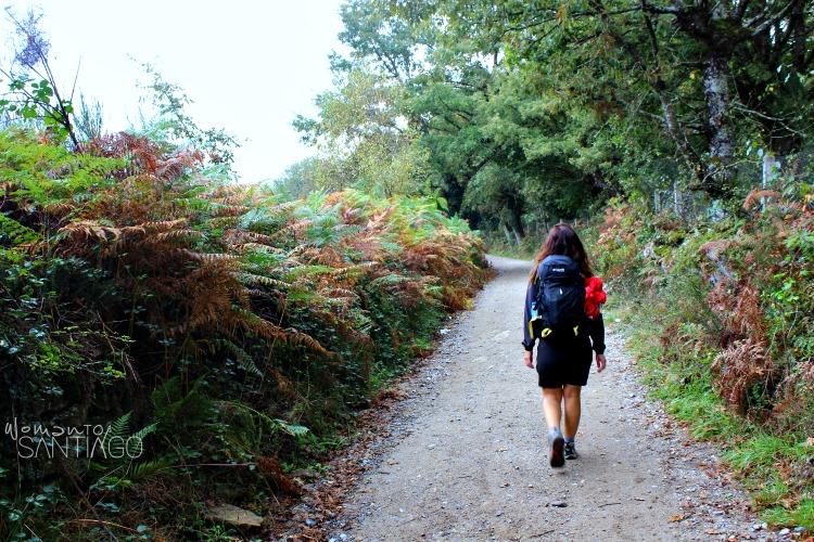 noelia andando por el camino de santiago