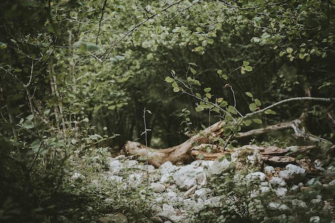 Una postboda en el rio
