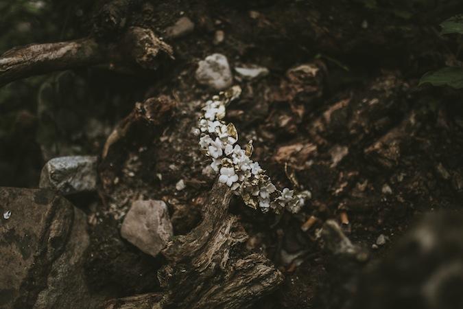 Una postboda en el rio