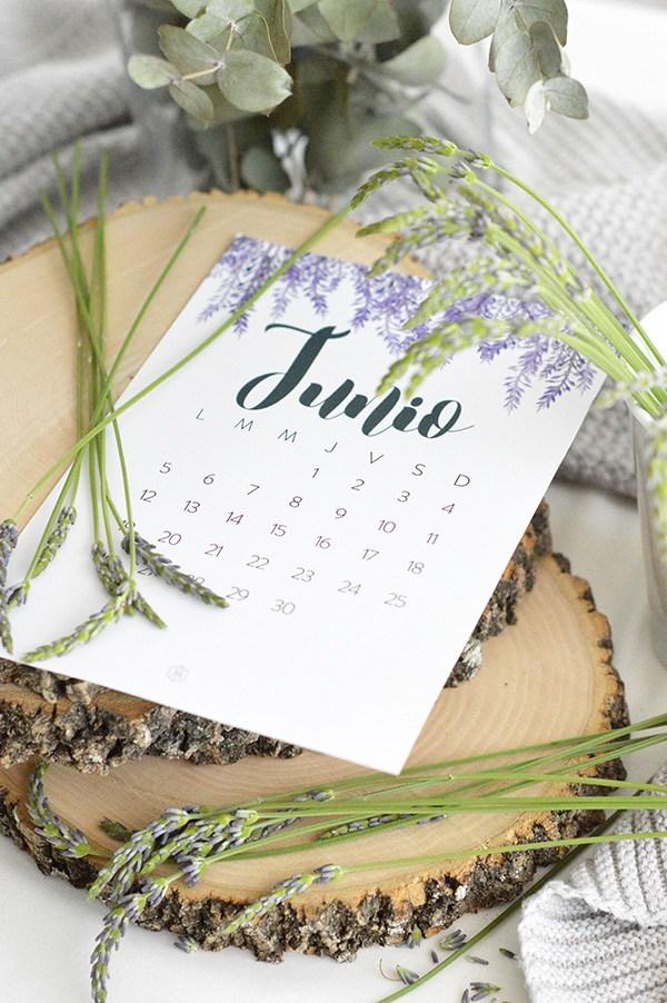 Descargable Junio AY