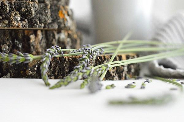 Descargable Junio AY