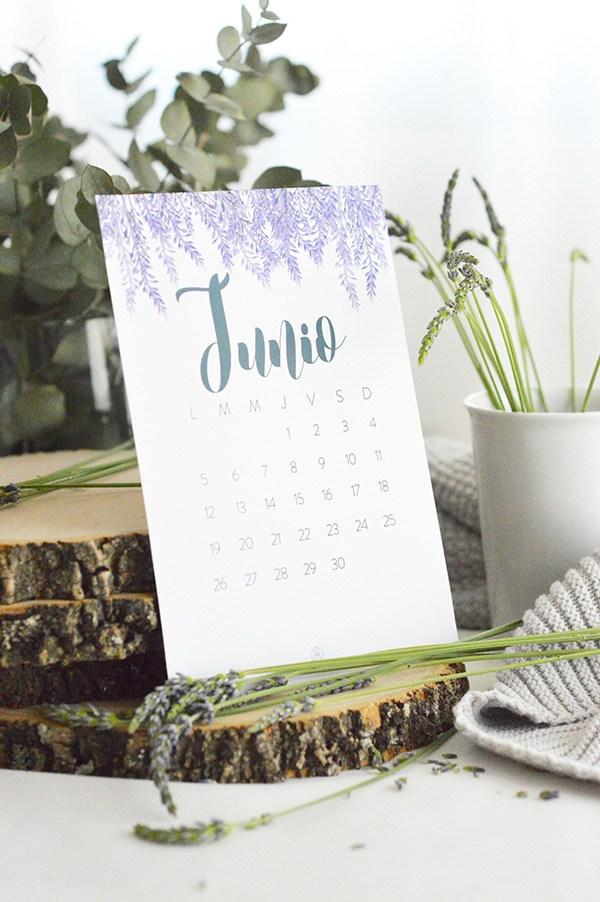 Descargable Junio AY