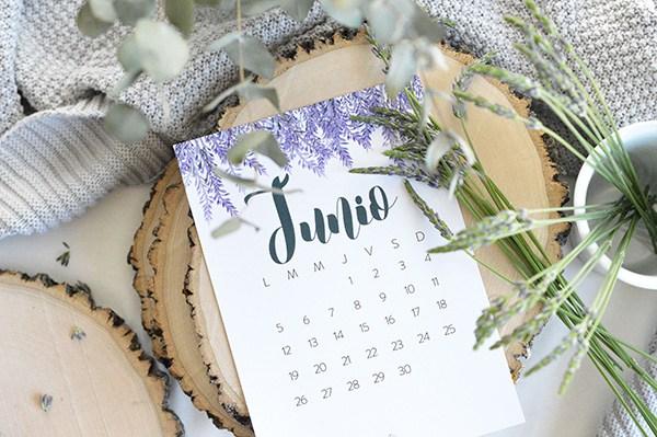 Descargable Junio AY