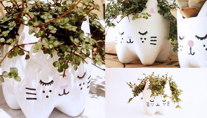 plantar en materos originales de plastico