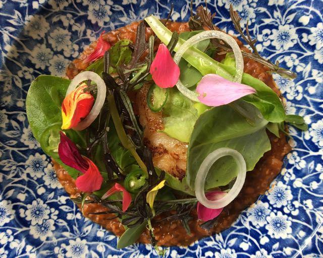 Papada de cerdo en Quintonil