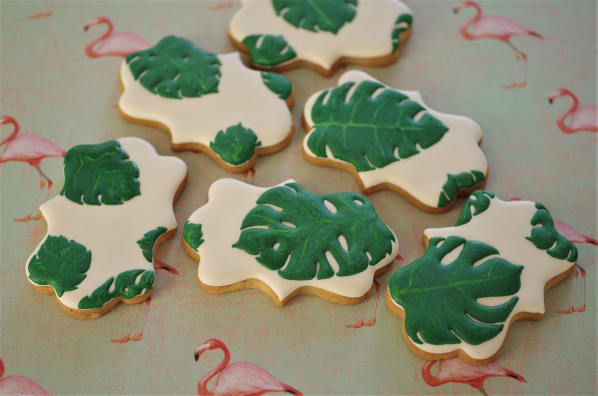 doctorcookies monstera deliciosa (2)