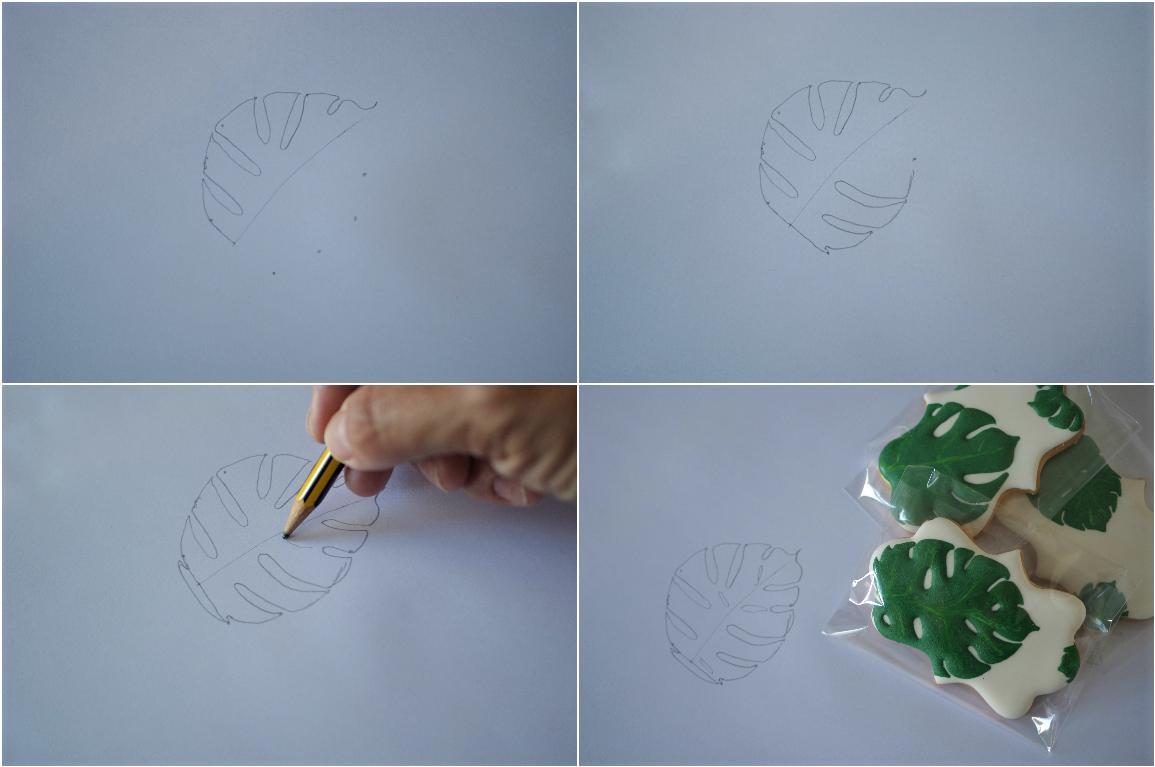 doctorcookies monstera deliciosa (2)