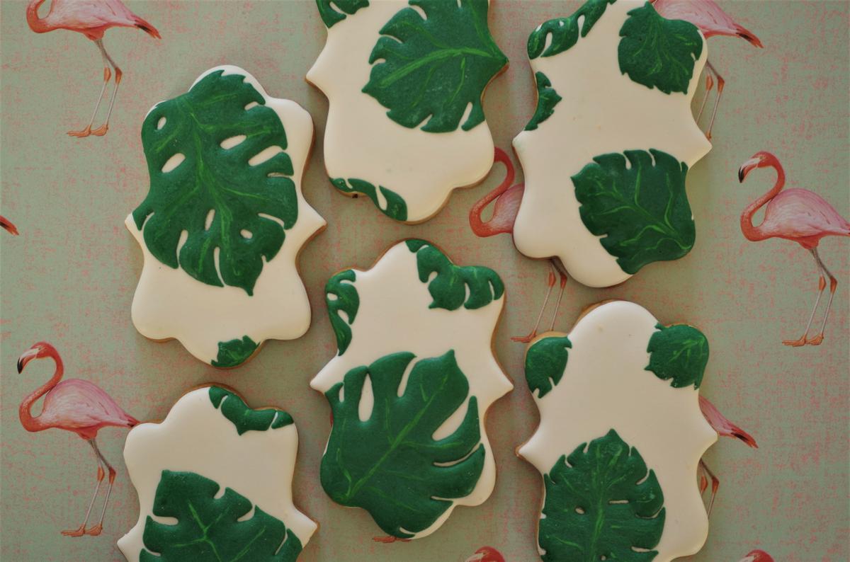 doctorcookies monstera deliciosa (7).JPG