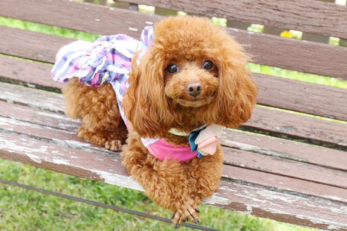 Fotolia_146037102_Subscription_Monthly_M