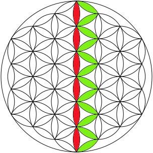 Segunda fila flor de la vida