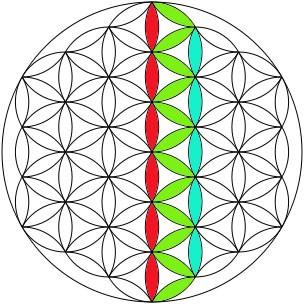 Tercera fila flor de la vida