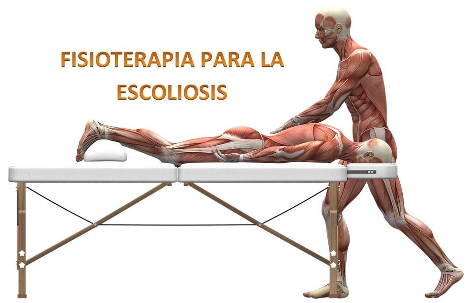 La fisioterapia para la escoliosis, son una serie de ejercicios terapéuticos que ayudan a fortalecer la musculatura de la columna vertebral. 