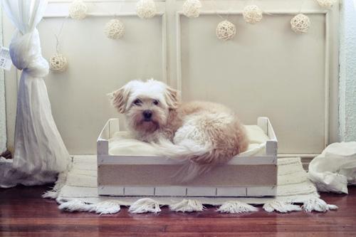 Cajas-madera-saragarland