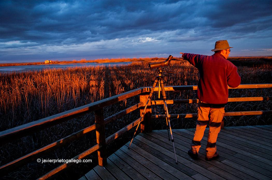Un ornitólogo en el humedal de La Nava. Fuentes de Nava. Palencia. Castilla y León. España © Javier Prieto Gallego