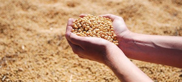 alimentos ricos en biotina