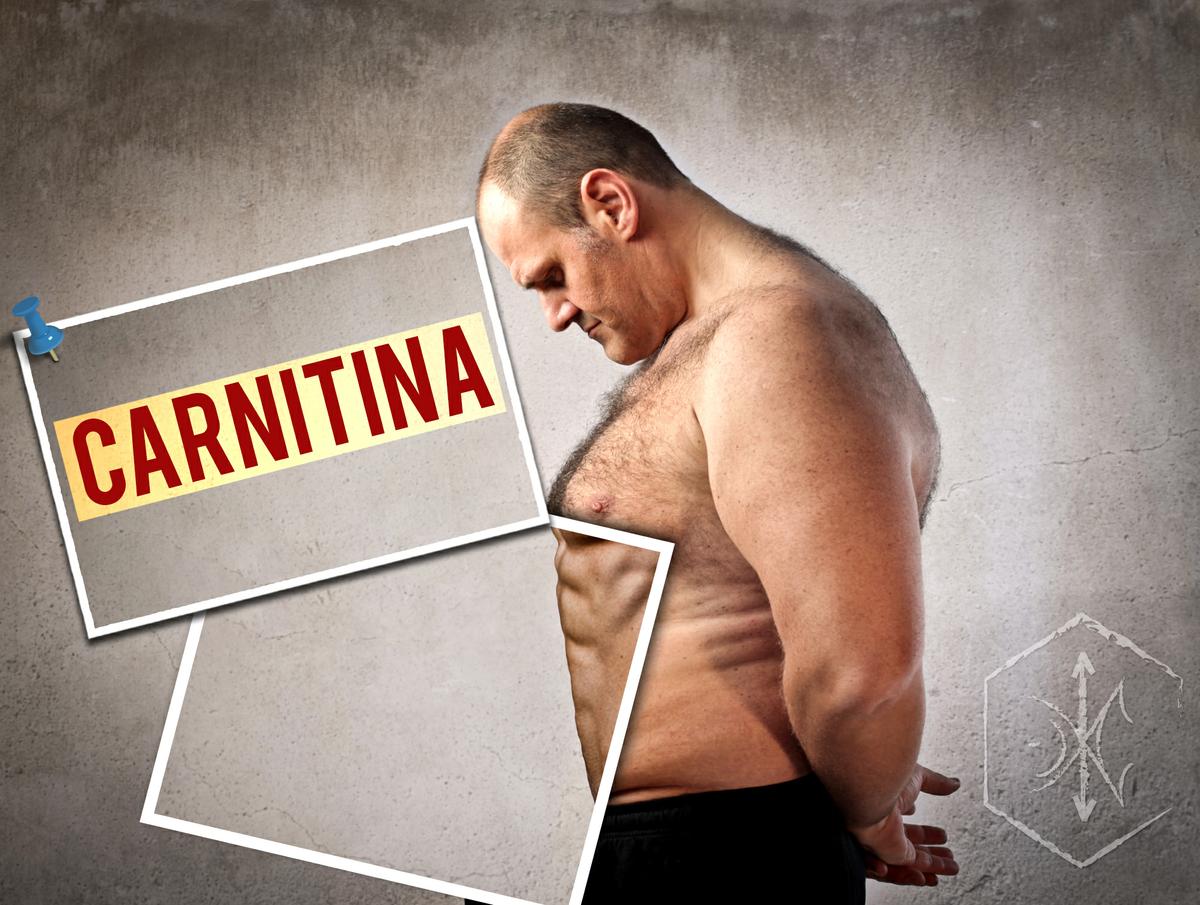 Qué es la Carnitina?