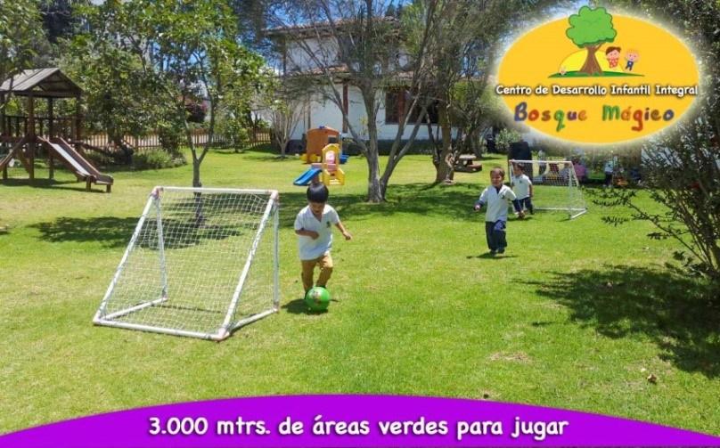 campamentos-de-verano