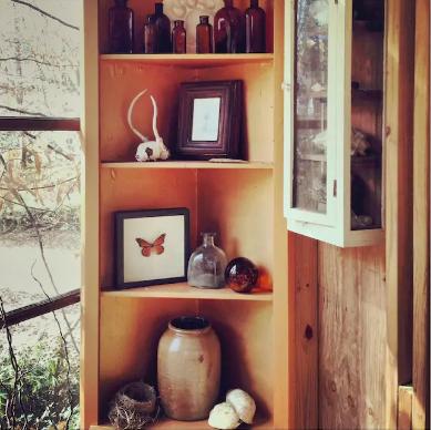 casa en el arbol - de viaje - salon decorado con mimo