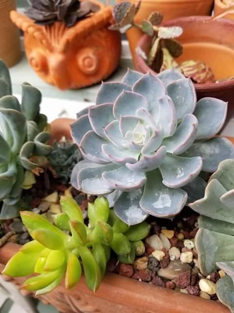 Como desarrollar una actitud positiva