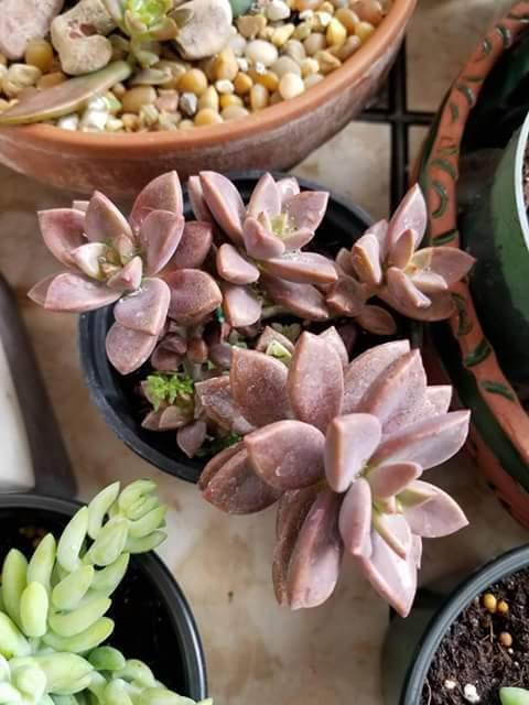 Como desarrollar una actitud positiva 