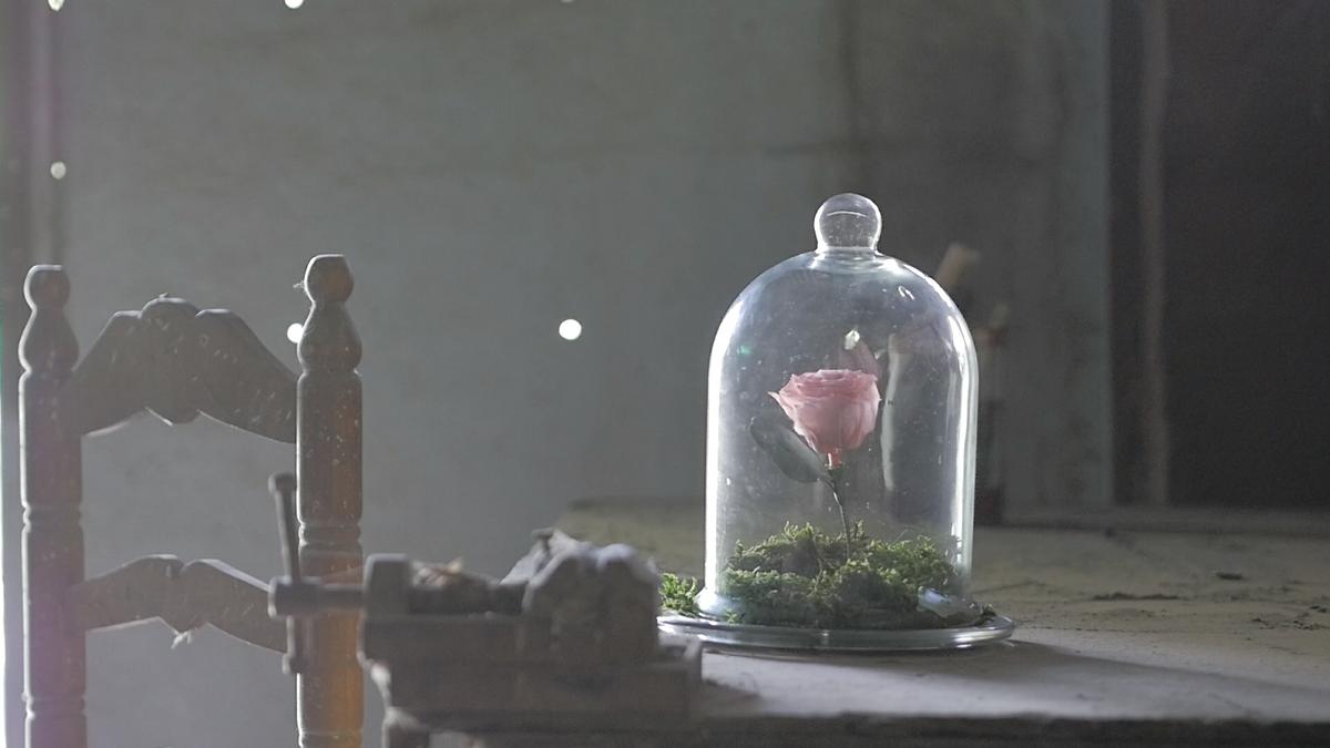 Shooting,qmirar,silvia oliveros,videografos,Cristina eventos,fotografía, bodas, vídeo