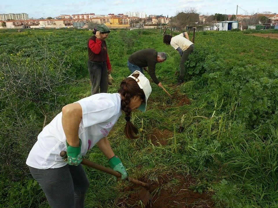 Trabajadores labrando en el campo de La Reverde