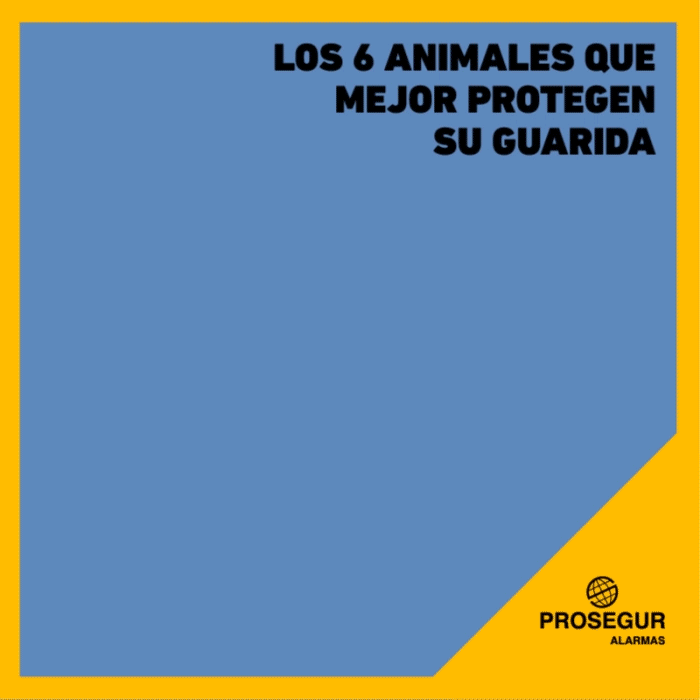 Animales que mejor protegen su guarida.
