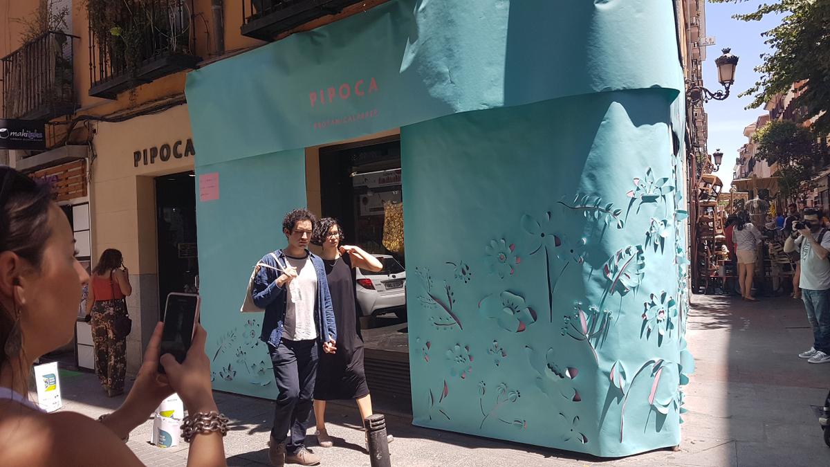 Decoraccion 2017 - La Bici Azul Botanical Paper para Pipoca