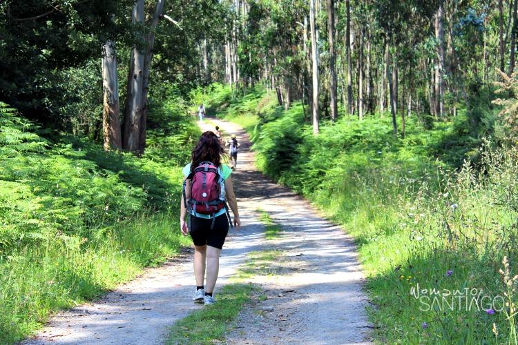 foto de peregrina caminando por un sendero verde