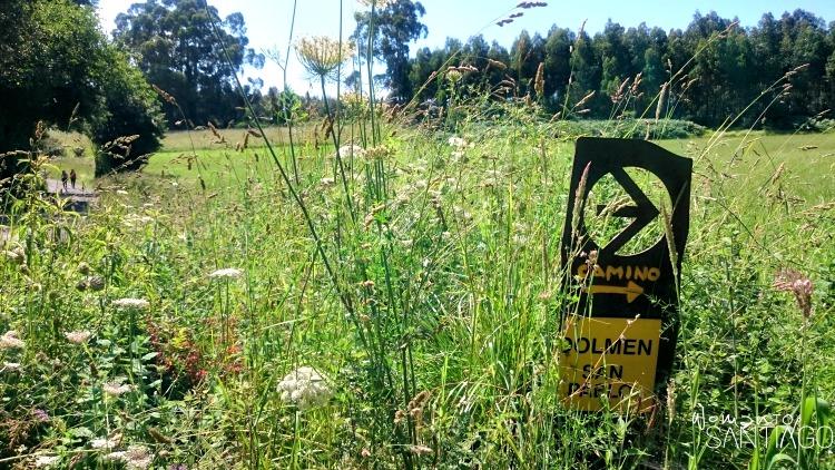 foto del camino de santiago