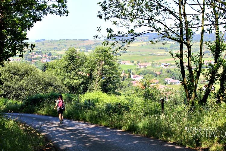 peregrina caminando por el bosque
