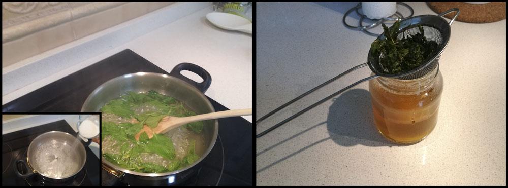 Elaborar sirope de menta