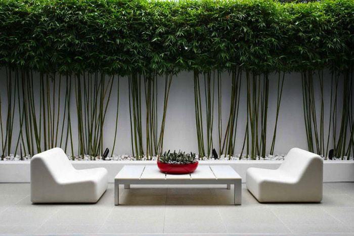 estilo zen para un patio sin cesped