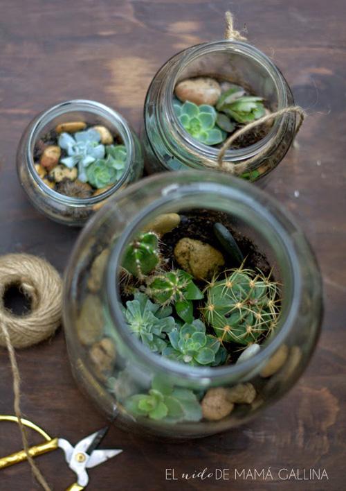 Terraza-terrario-elnidodemamagallina