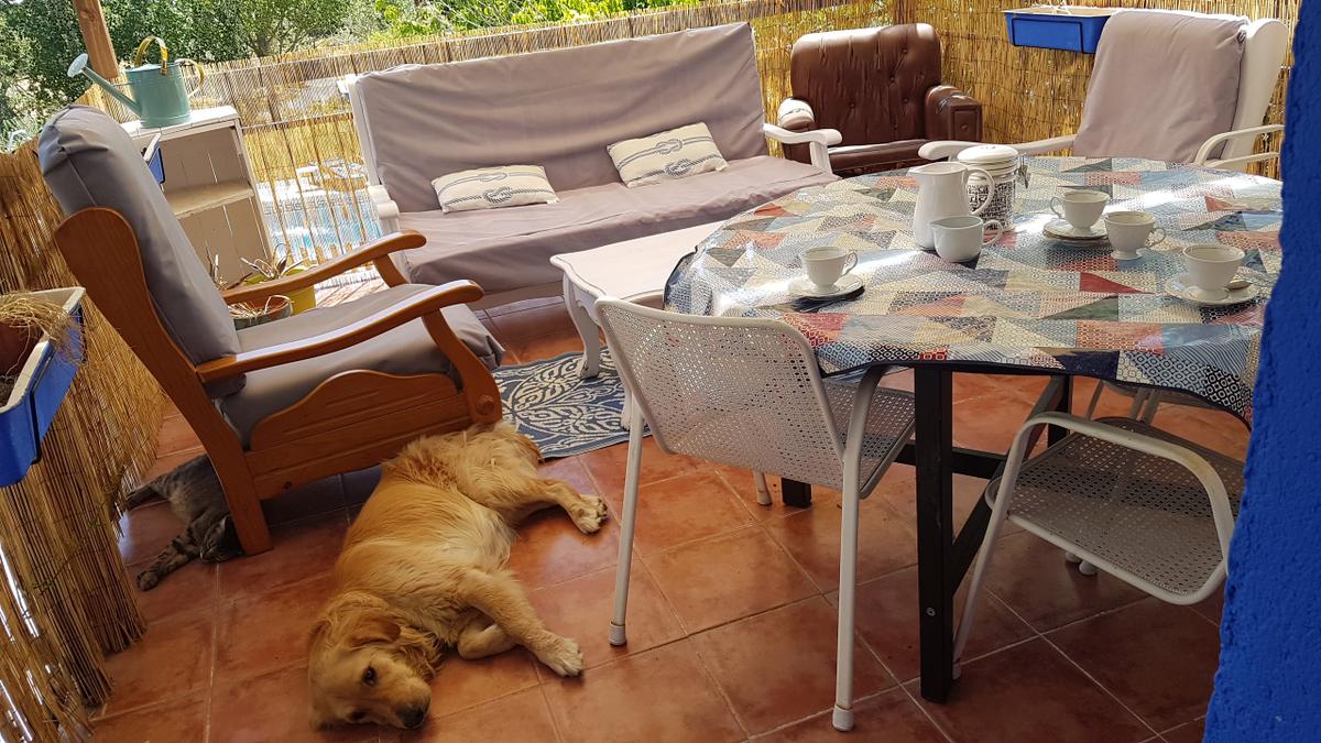 desayunar en la terraza - ninguno se pierde el momento