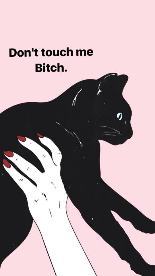 wallpaper cat dont touch me