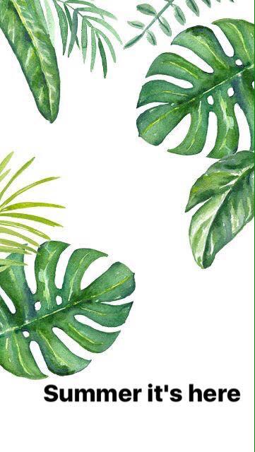 wallpaper summer its here