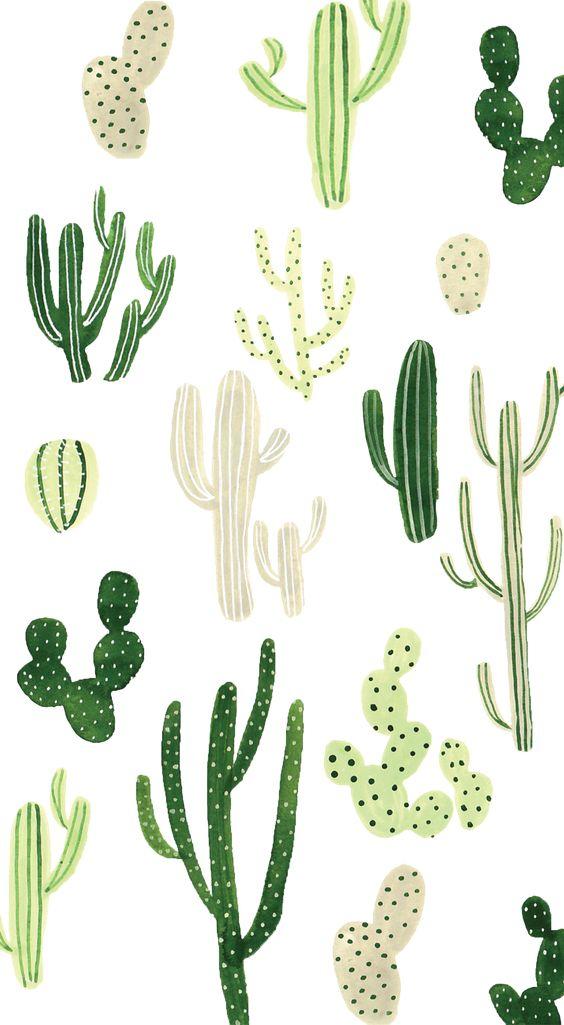 wallpapers cactus