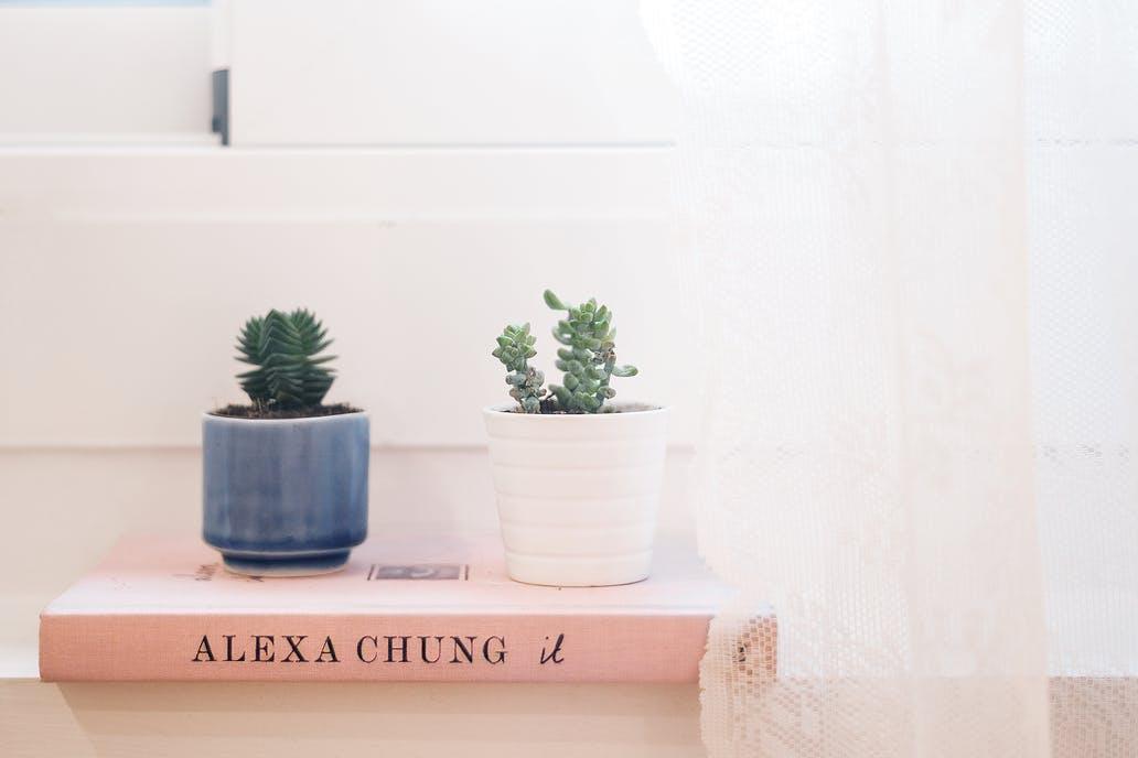 Trucos_para_mantener_tu_casa_fresca_en_verano_ahorrar_decoración_consejos de decoración