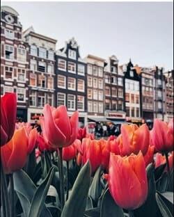 Cuentas de Instagram dedicadas a Viajes