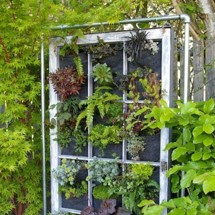 jardines verticales Las Palmas de Gran Canaria